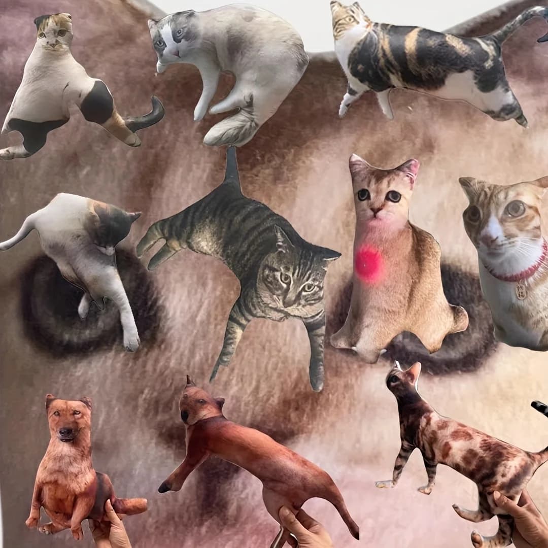 Personalizza un cuscino astratto per animali domestici per Halloween con un tocco divertente. Il regalo perfetto per gli animali domestici, con un design unico e doppio.