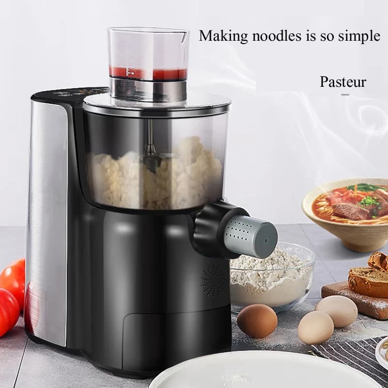 Macchina Elettrica per Fare Pasta e Spaghetti in Acciaio Inox, Mini Impastatrice per Noodle e Ravioli