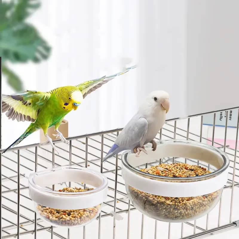 Wholesale Eco Friendly Parrot Pet Supplies Small Round Transparent Bird Food Box Feeder Bowl Water Container