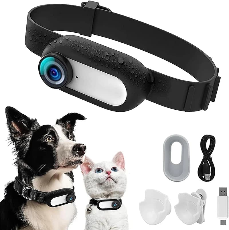 Telecamera wireless per collare per cani e gatti Telecamera per sport all'aria aperta con schermo Registrazione video Video Mini telecamera per animali domestici Forniture per animali domestici
