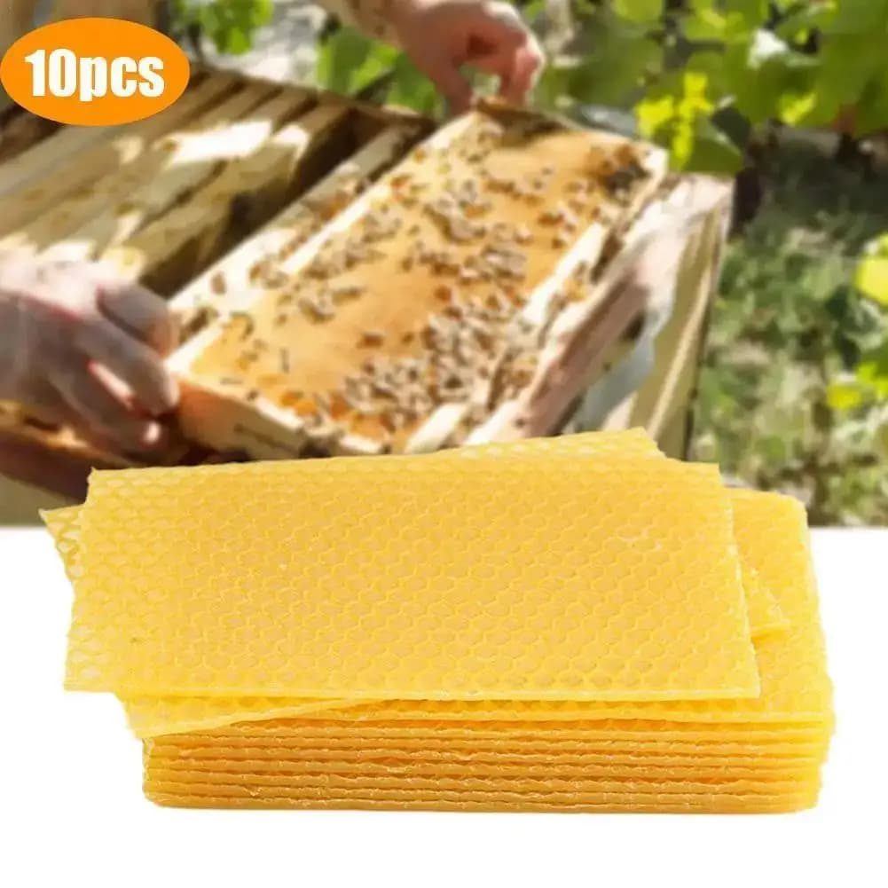 Cornici in cera per fondotinta a nido d'ape giallo da 10 pezzi per foglio di attrezzature per apicoltura alveare di ottima qualità