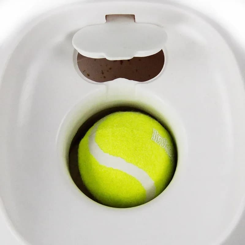 Macchina per ricompensa per cani da compagnia Alimentatore interattivo Macchina per ricompensa per baseball per cani giocattolo da tennis