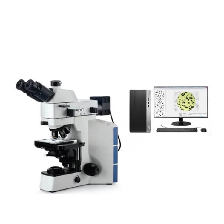 Microscopio metallurgico con display digitale trinoculare binoculare professionale 4XC