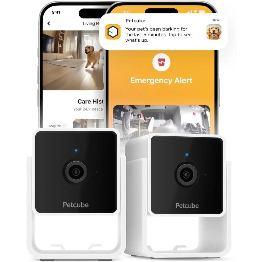 Telecamera di Sicurezza per Animali Domestici da Interno 1080p HD con Visione Notturna, Audio Bidirezionale, Video e Avvisi Intelligenti