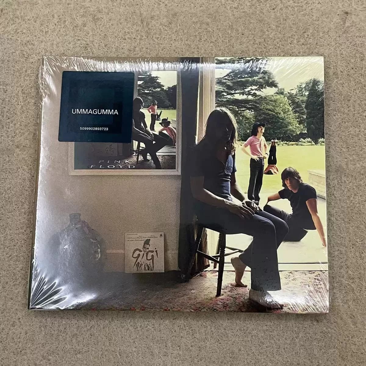 Ummagumma Album, CD del Capolavoro Iconico del Rock Progressivo Psichedelico, Studio e Live, Esperimentale