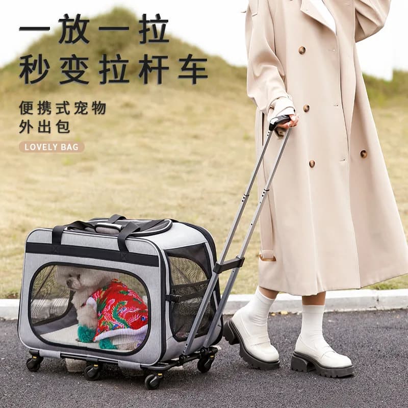 Trasportino per Animali Domestici Extra Large con 6 Ruote, Borsa Portatile Traspirante e Rimovibile per Gatti e Cani