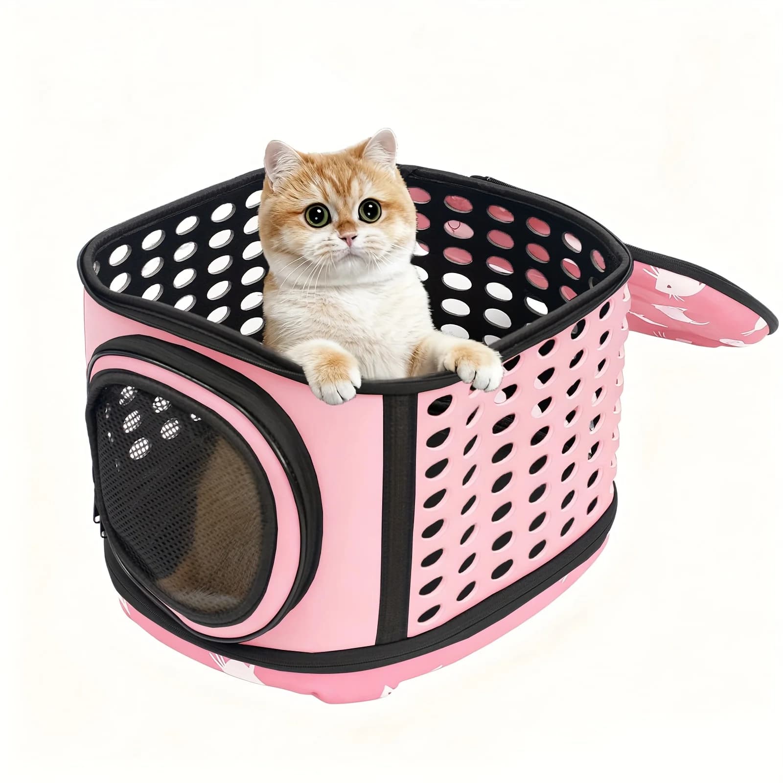 Trasportino Portatile per Animali Domestici, Gabbia da Viaggio per Cani e Gatti, Cuccia da Viaggio Ventilata per Cani e Gatti