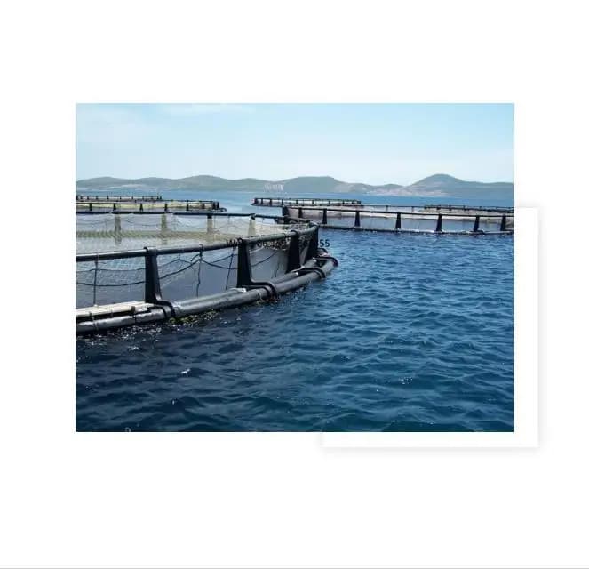 Rete da pesca automatica potenziata a 4-8 fori
