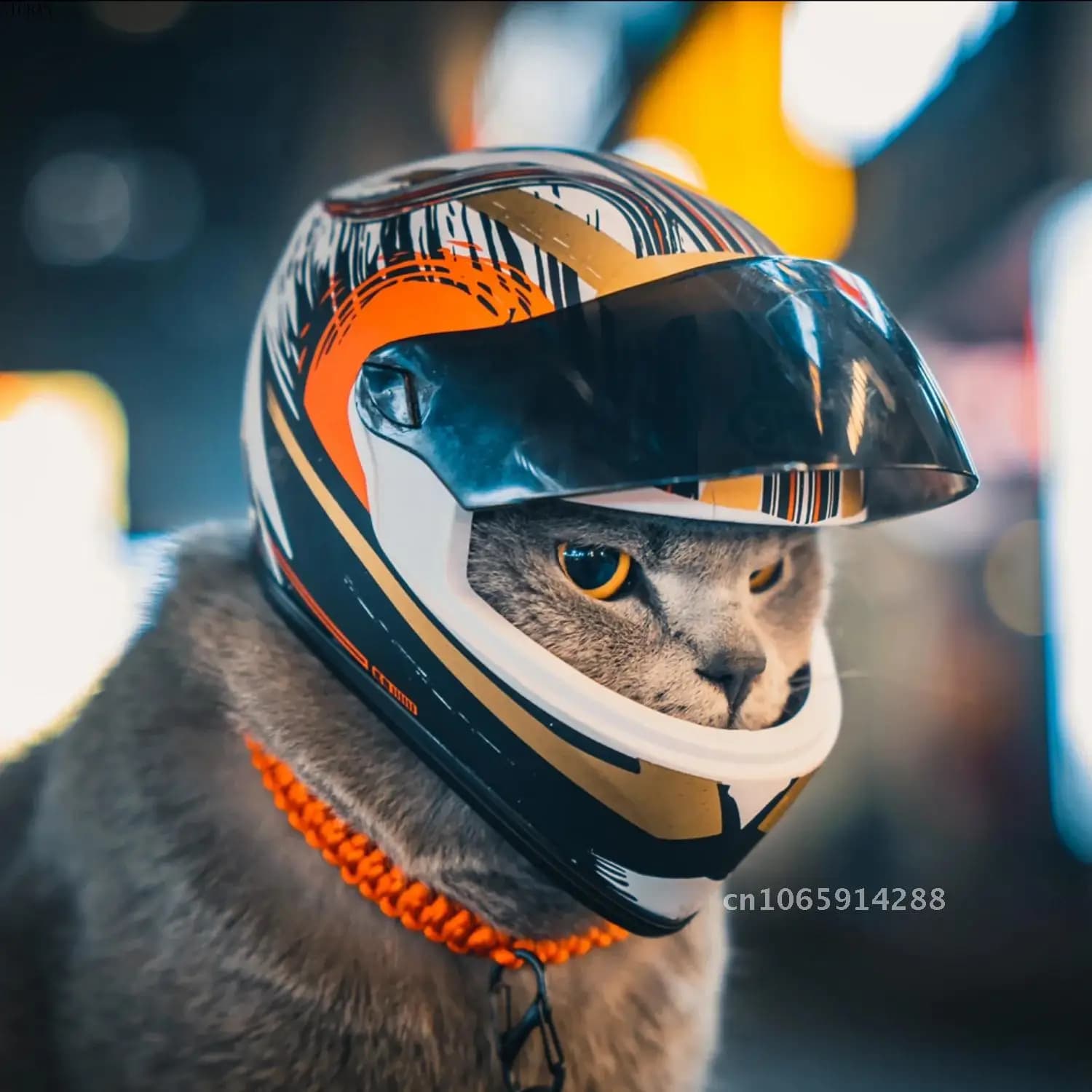 Caschi per animali domestici con foto, casco per gatti, casco per cani, mini testa per esterni, accessorio per casco fai da te per moto, mini cappello di scena, protezione per animali domestici sicura