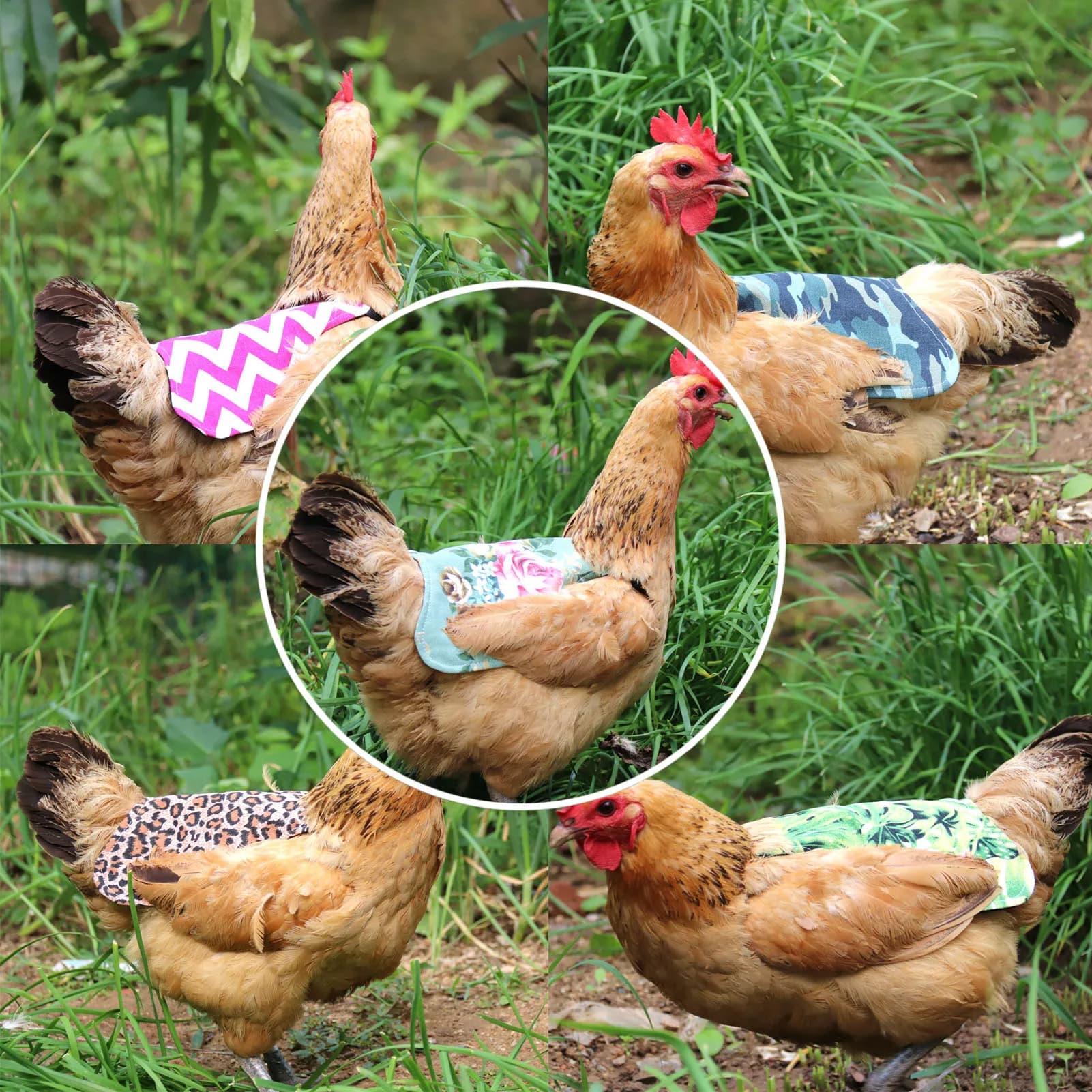 Regolabile gilet di pollo Pet gilet riflettente vestiti di pollo pollame gallina sella grembiule piuma supporto di protezione per anatra di pollo
