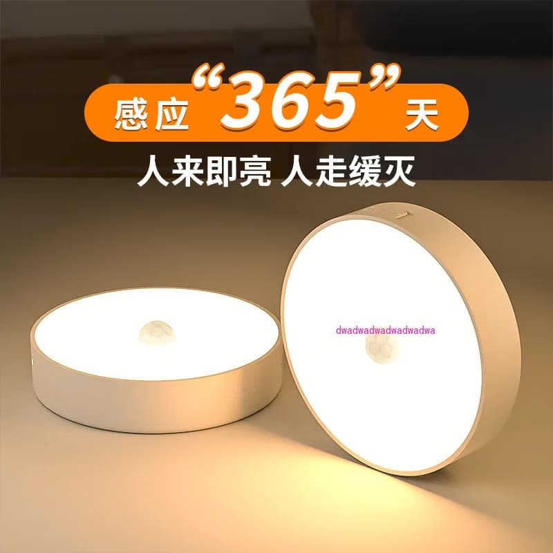 Il sensore del corpo umano intelligente wireless illumina di notte, l'armadietto del corridoio domestico sdraiato