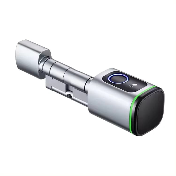 Serratura per porta intelligente con cilindro elettronico biometrico per impronte digitali Tuya Ble standard europeo TTlock per casa e appartamento