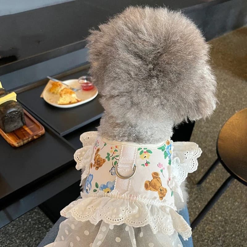 Set di guinzagli per cani e gatti floreali in pizzo Set di guinzagli regolabili per animali domestici Cuccioli Gattini Abito da principessa Gonna Piombo da passeggio Accessori per Chihuahua