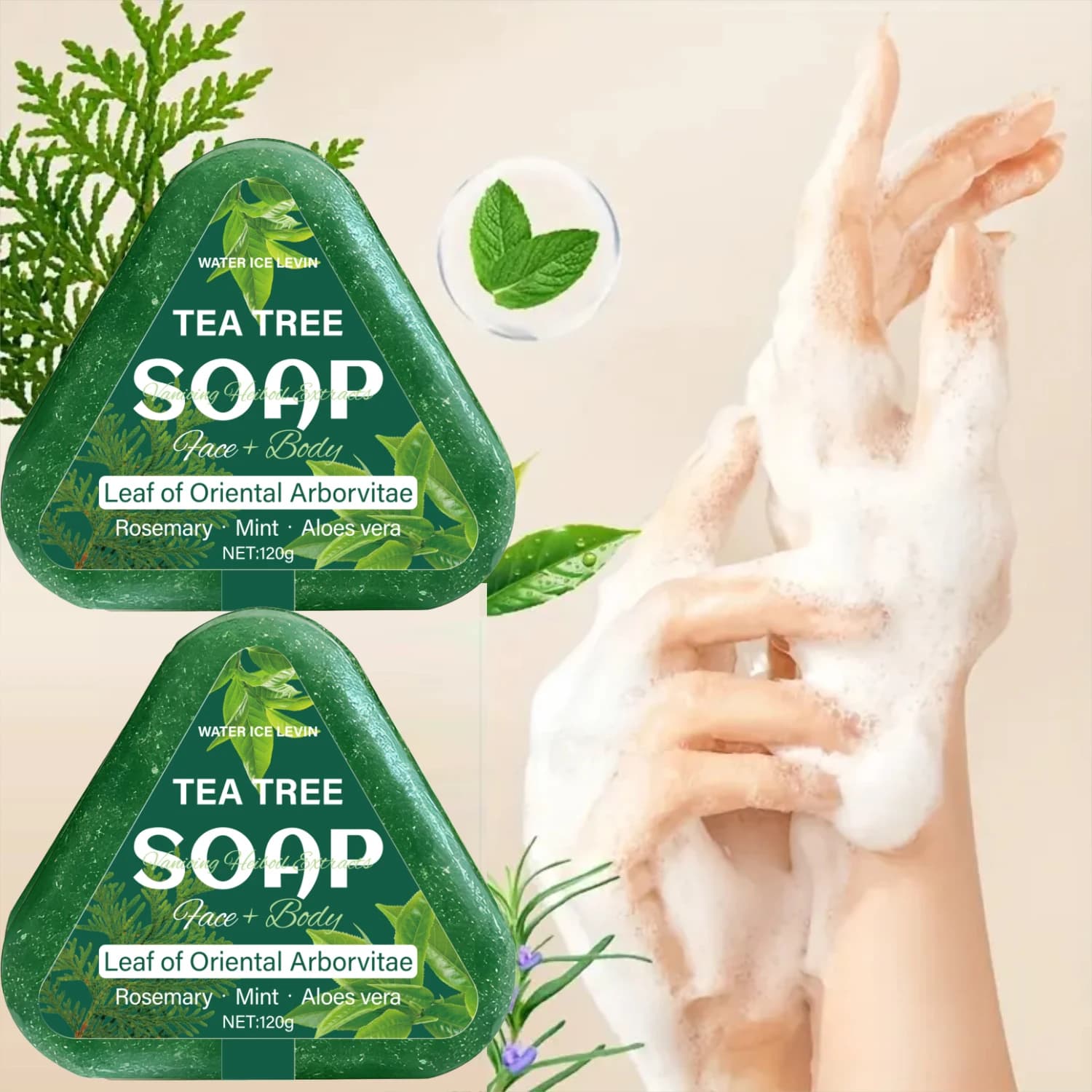Sapone dell'albero del tè (viso + corpo): foglia orientale di Arborvitae, rosmarino/menta/aloloe, idrata delicatamente tutti i tipi di capelli