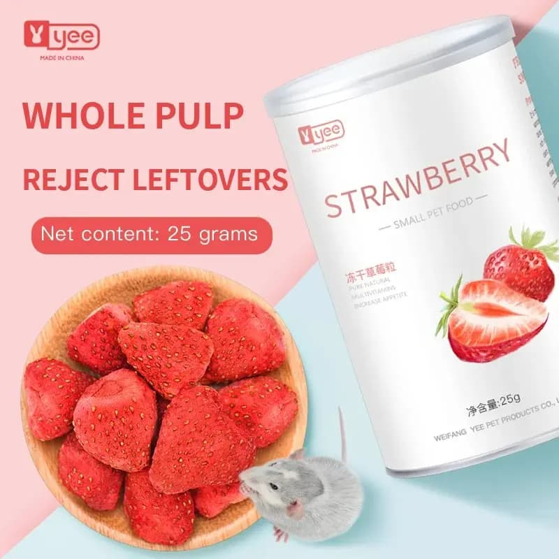 Snack per criceti Fragole liofilizzate all'ingrosso Fragole liofilizzate a basso contenuto di zucchero Frutta Piccoli animali domestici Snack salutari