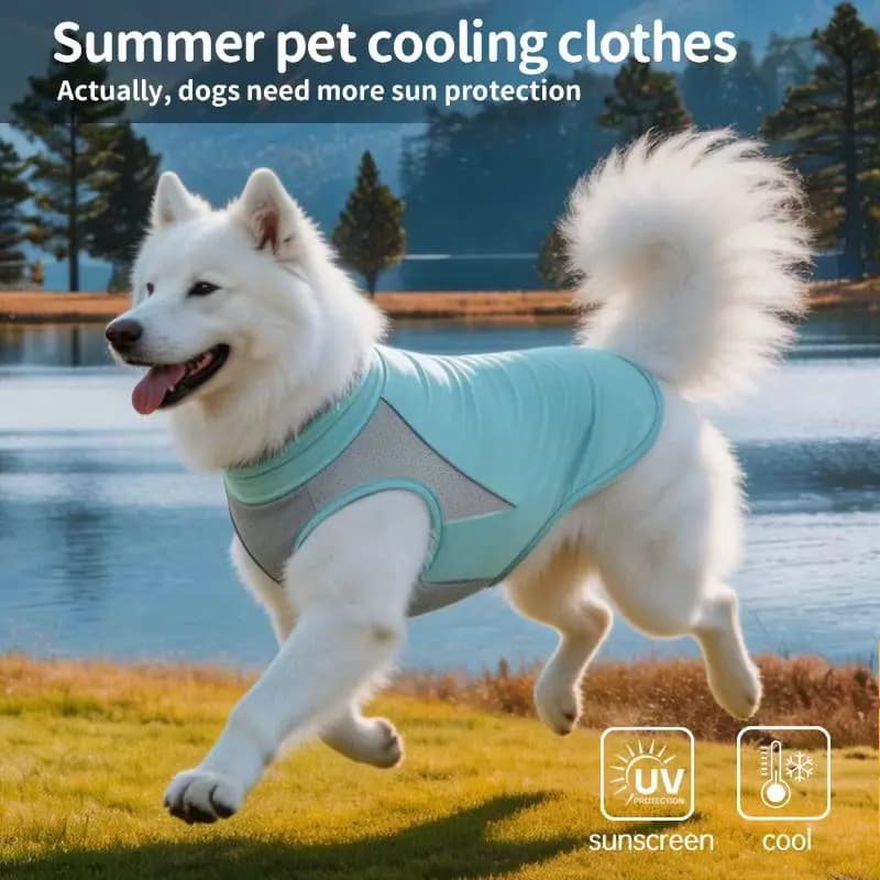 Gilet rinfrescante per cani, protezione UV, giacca in rete traspirante, per cani di taglia piccola, media e grande, regolabile per passeggiate all'aperto
