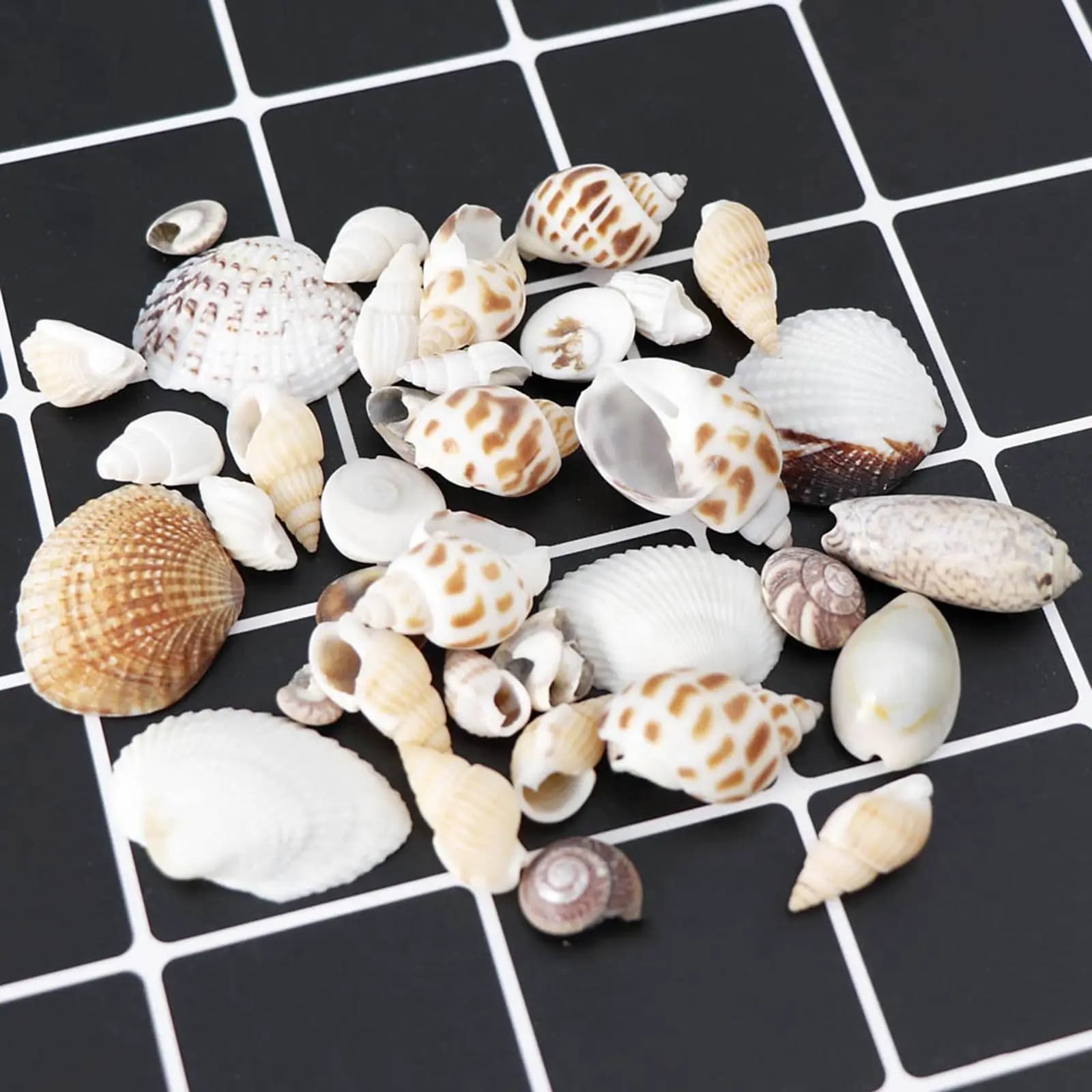 Perline Artigianali in Conchiglia Naturale per Collane Fai-da-Te, Set di Gioielli, Decorazioni per Matrimoni, Ornamenti per Acquari