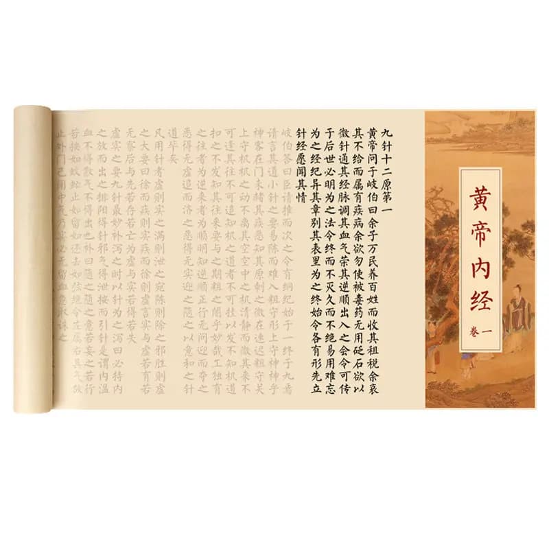 Chinese Medical Classic Calligraphy Tracing Copybook Set Small Regular Script for Beginners Adults Practice Long Scroll