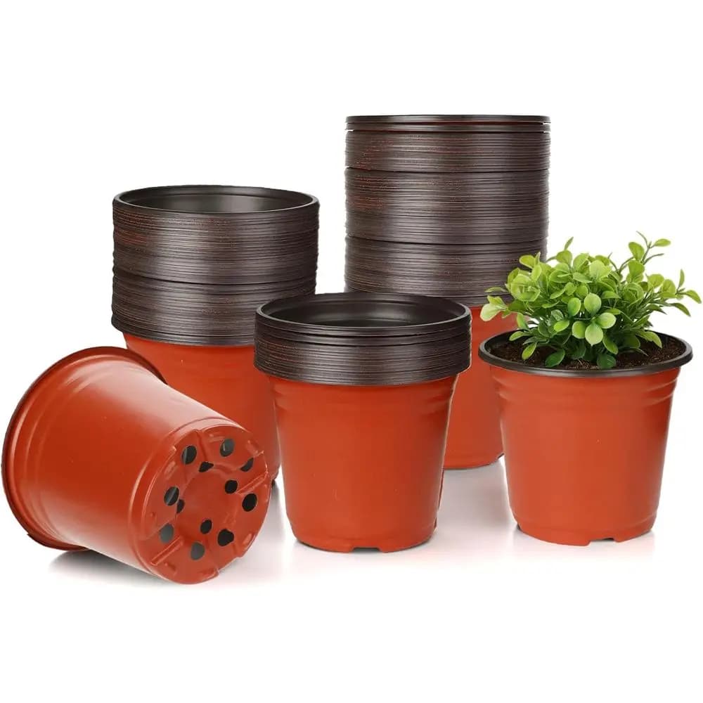 Pack of 40 Vases for Plants of 6 Inches with Grape Harness - Plastic Vases for Internal and External Use