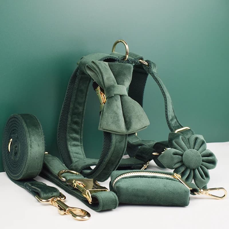 Set Personalizzato di Collare, Guinzaglio e Pettorina in Velluto per Cani, Collari di Lusso Personalizzati con Fiocco in Velluto10