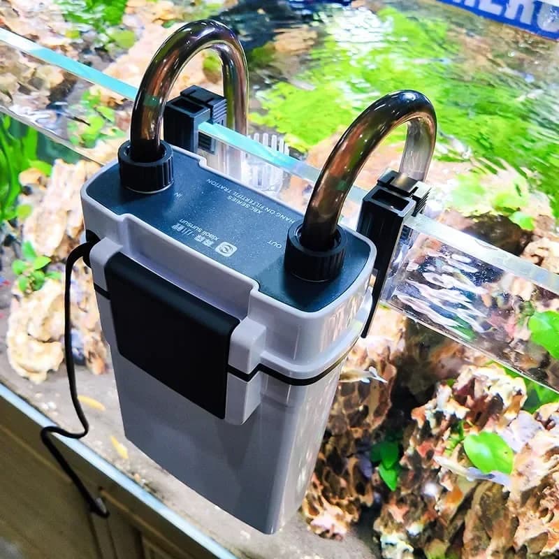 Zaino porta uccelli trasparente 2 in 1, pratico e portatile, gabbia da viaggio per animali domestici, alternativa adatta per pappagalli, parrocchetti, calopsitte, coniglietti