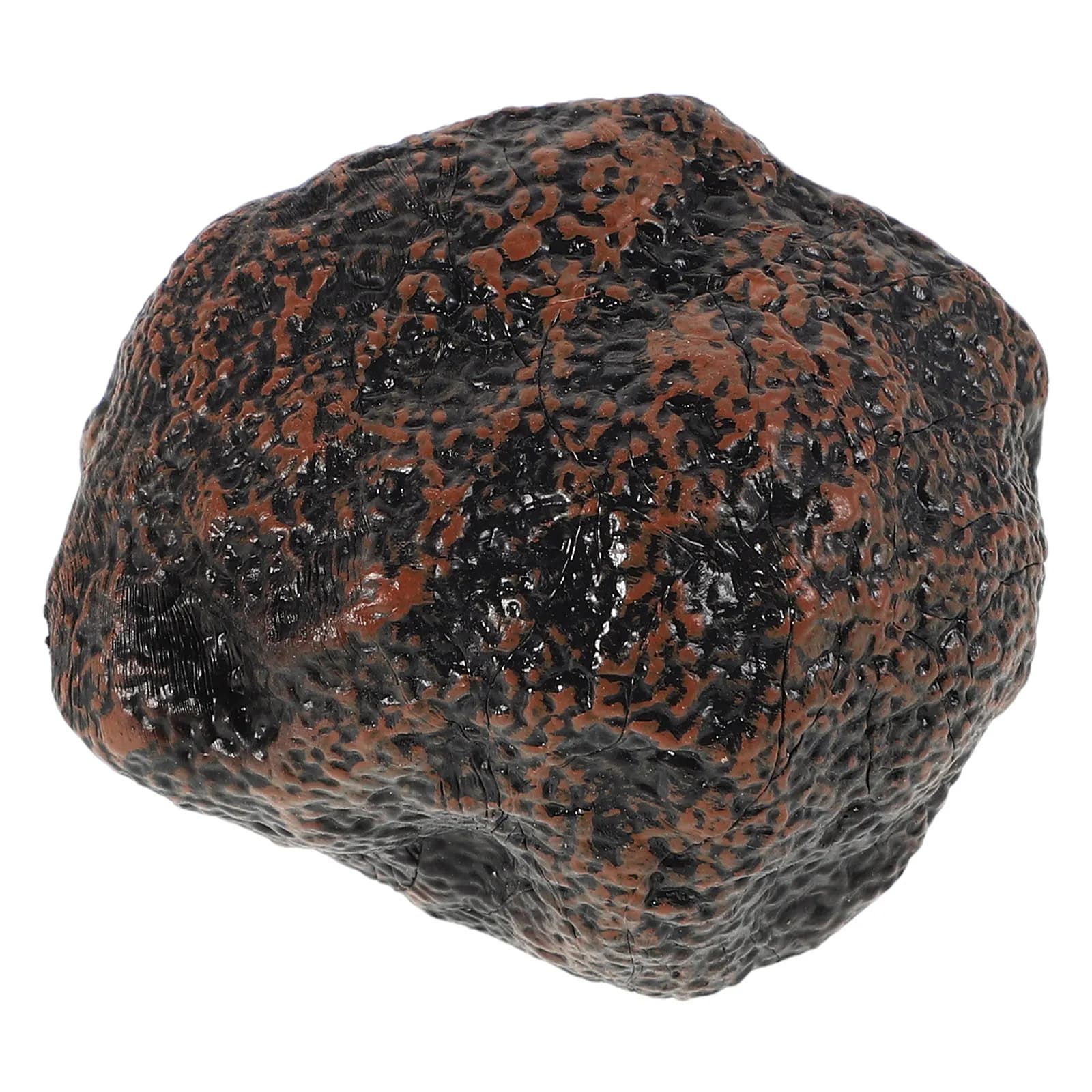 Set Educativo di Simulazione Cucina per Bambini, Mini Tartufo Nero dal Design Realistico, Gioco di Ruolo per l'Educazione Prescolare