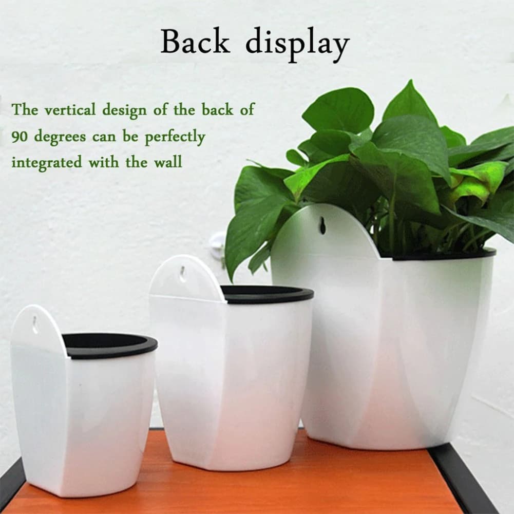 Vase from Automatic Flowers Water absorbent from Wall for Interior, Plastic Vase for Fat Plants, Anemones and Small Green Plants