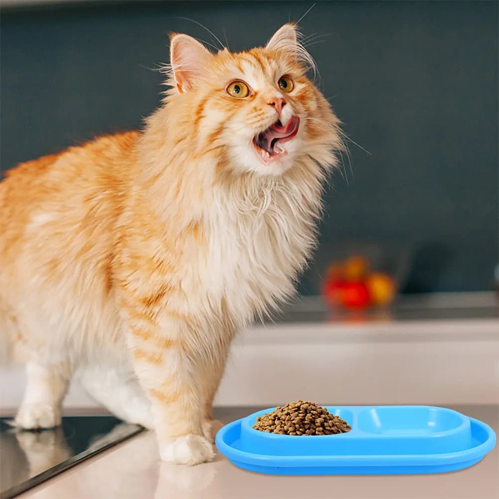 Ciotola Anti-Ant per Gatti, Blu Cielo, per Cibo e Acqua, per Uso Interno ed Esterno, Misura Media, Base Antiscivolo, Anti-Perdita, per Cani