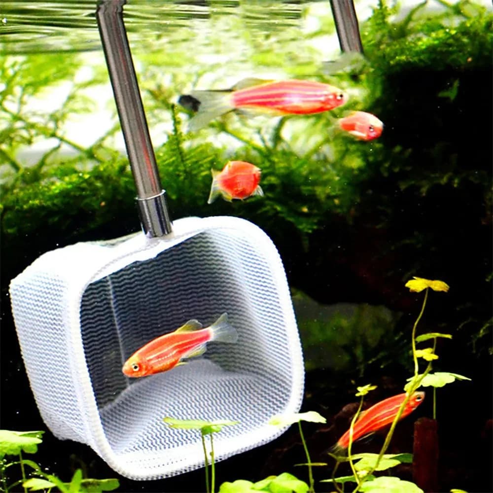 Guadino Telescopico Estensibile con Manico in Acciaio Inossidabile, Rete Verde Rotonda Mini per Pesca, Rete Quadrata Rossa per Pesci e Gamberetti