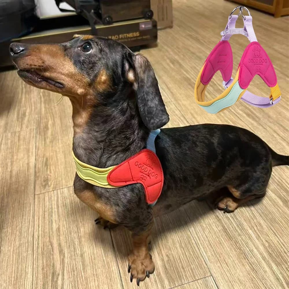 No Pull Puppy Dog Harness Fashion Pet Vest Harnesses for Small Medium Dogs Dachshund Poodle Pomeranian Pug Mascotas Accessories