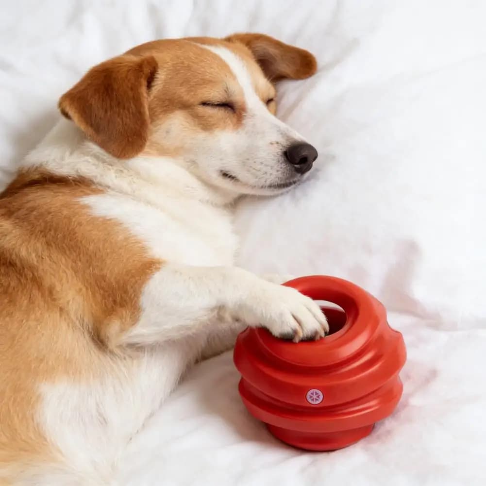 Kettlebell Toy for Dogs with Handle, Ball from Launch and Recovery, Toy from Chewing for Denti Training, Play Resistant for Domestic Animals