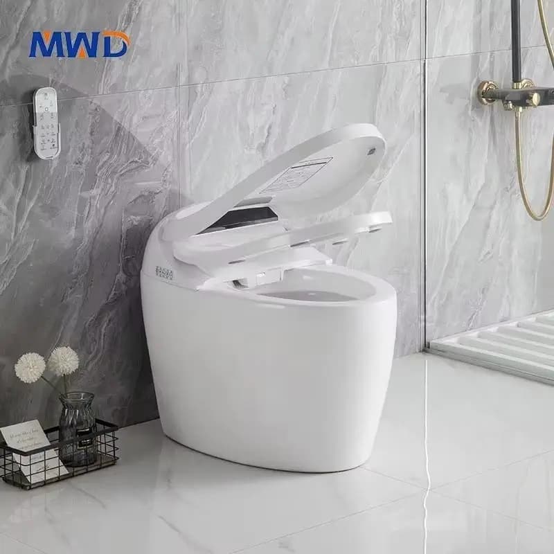 WC Moderno Airow MWD con Telecomando Incluso, Toilette Monoblocco con Scarico Automatico a Sifone, WC con Scarico a S per Bagno