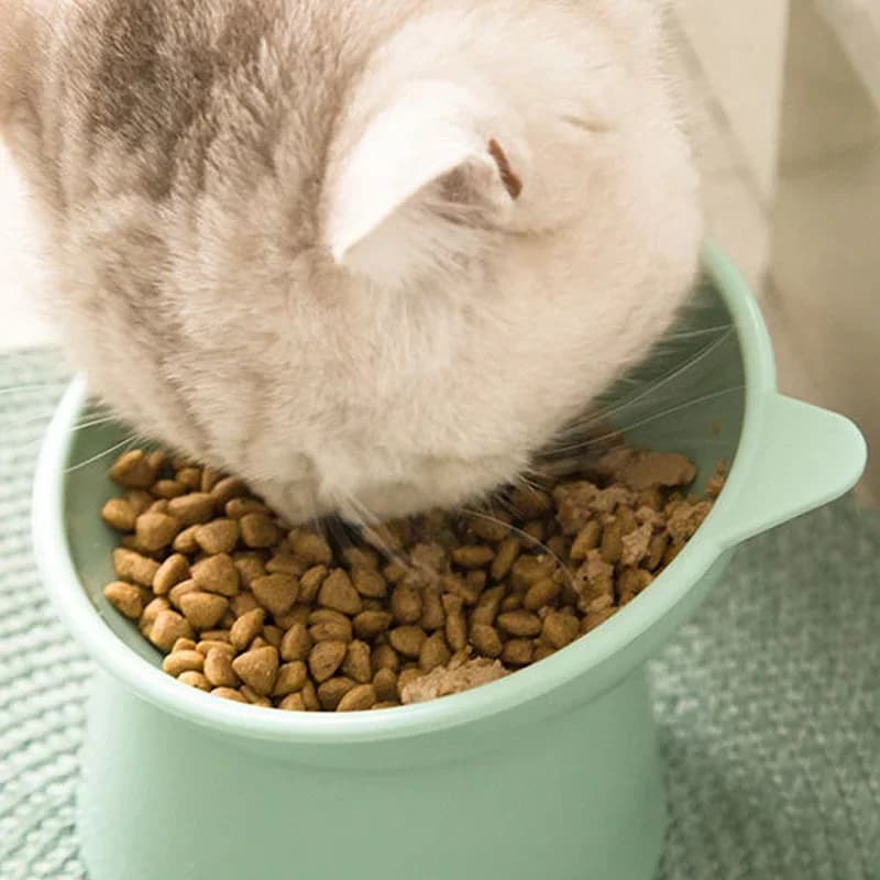 Ciotola Inclinata per Cibo e Acqua per Animali Domestici con Fondo Rialzato e Protezione Collo - Anti-Soffocamento, Anti-Ribaltamento per Cani e Gatti
