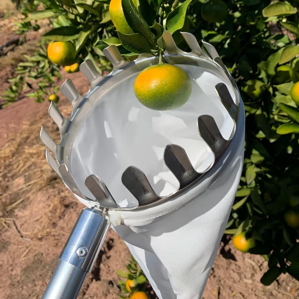 12 18 24ft Light-Weight Aluminum Stainless Steel Telescopic Extension Pole Fruit Picker Tool