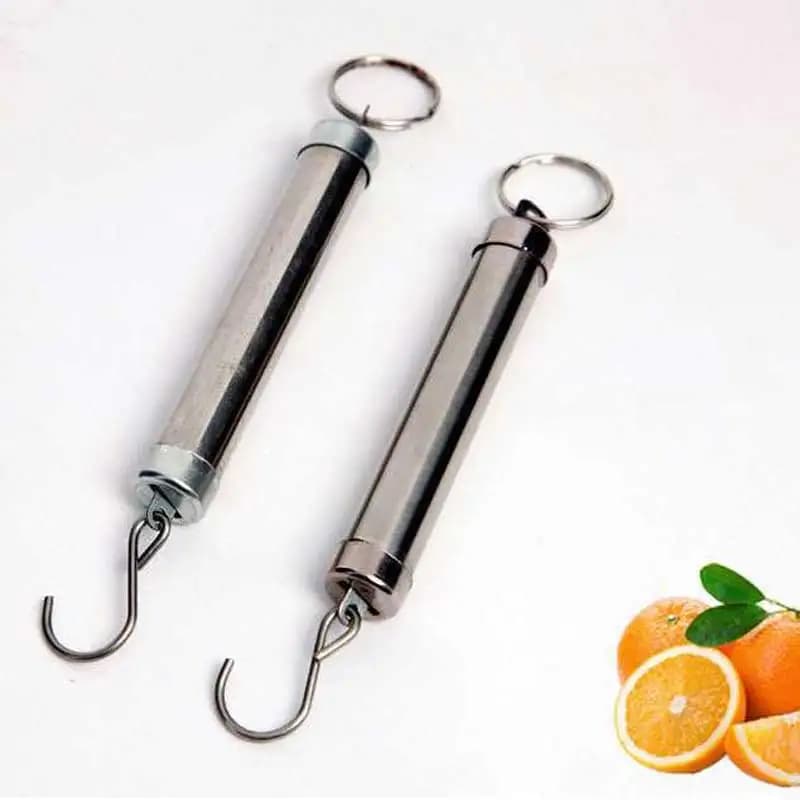 Bilancia a Molla Portatile 0.1-5kg, Bilancia Meccanica con Gancio in Acciaio Inox per Pesca e Bagagli, Strumento Portatile