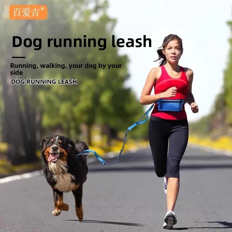 Guinzaglio per Cani, Corda da Passeggio, Corda di Trazione per Animali Domestici, per Razze Piccole e Medie, Teddy, Bichon, Pomeranian, Guinzaglio Retrattile in Materiale Resistente