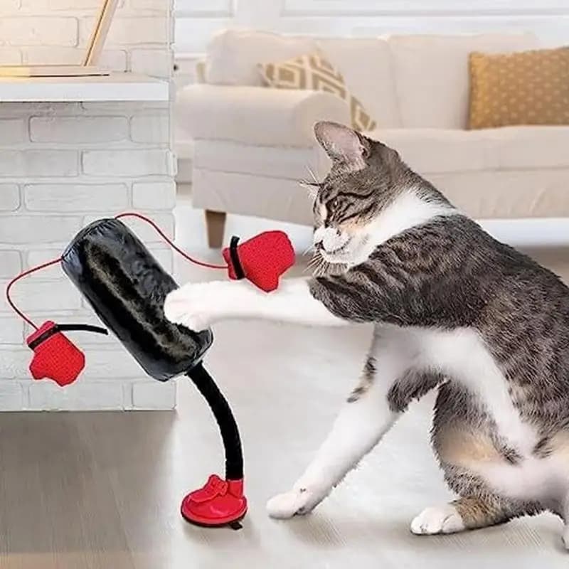 Portable Toy for Cats Boxing Bag Interactive Toy for Indoor Cats with Gloves Cat Toy for Kitten Cat Supplies