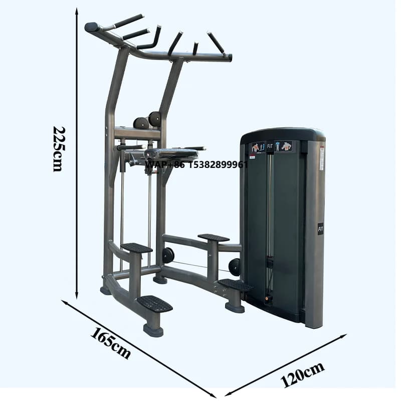 GLSFitness Traction and Dip Bar Assisted, Dip Station and Chin Dip Machine with Pins for Fitness and Body Building, Complete Strength Training