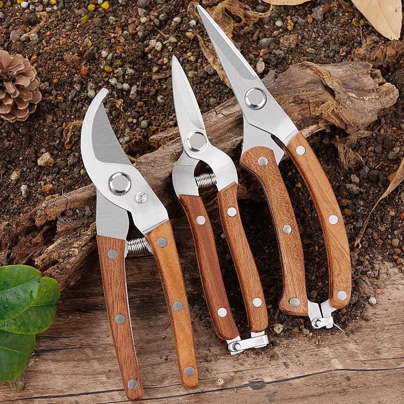Set di cesoie da potatura per alberi da frutto Cesoie da giardino per la casa in acciaio inossidabile Forbici rimbalzanti