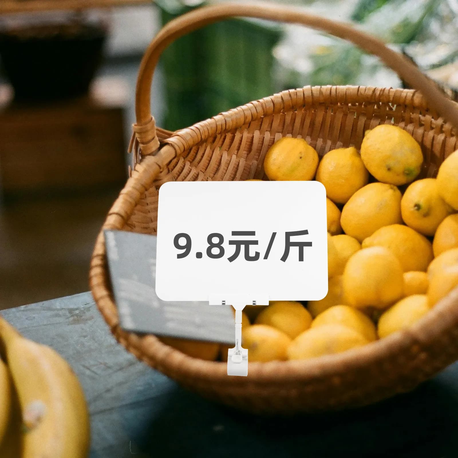 Espositore per Etichette Prezzi Cancellabili con Clip per Supermercati, Frutta e Verdura, Espositore Pubblicitario A4 con Lavagna Bianca