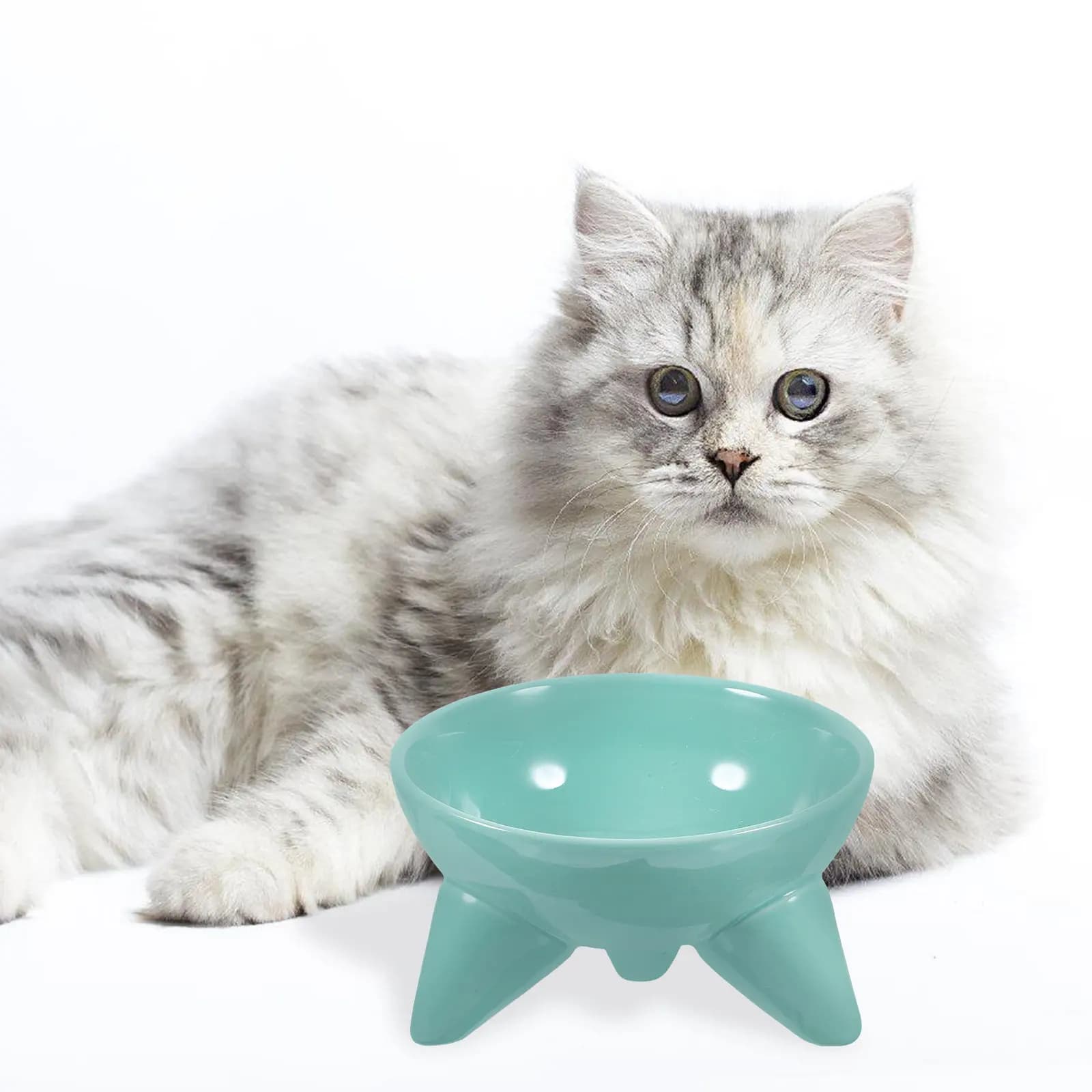Ciotola in Ceramica per Cani e Gatti, Contenitore Rialzato e Inclinato per Alimenti, Ciotola Sicura per l'Alimentazione di Piccoli Animali, Protezione della Colonna Cervicale