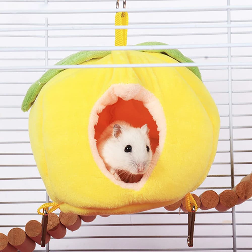 1PC Fruit Shaped Criceto Nido Warm Autumn Winter Hanging Pele Bed for Small Animals Pet Sugar Food Bird Golden Grocery