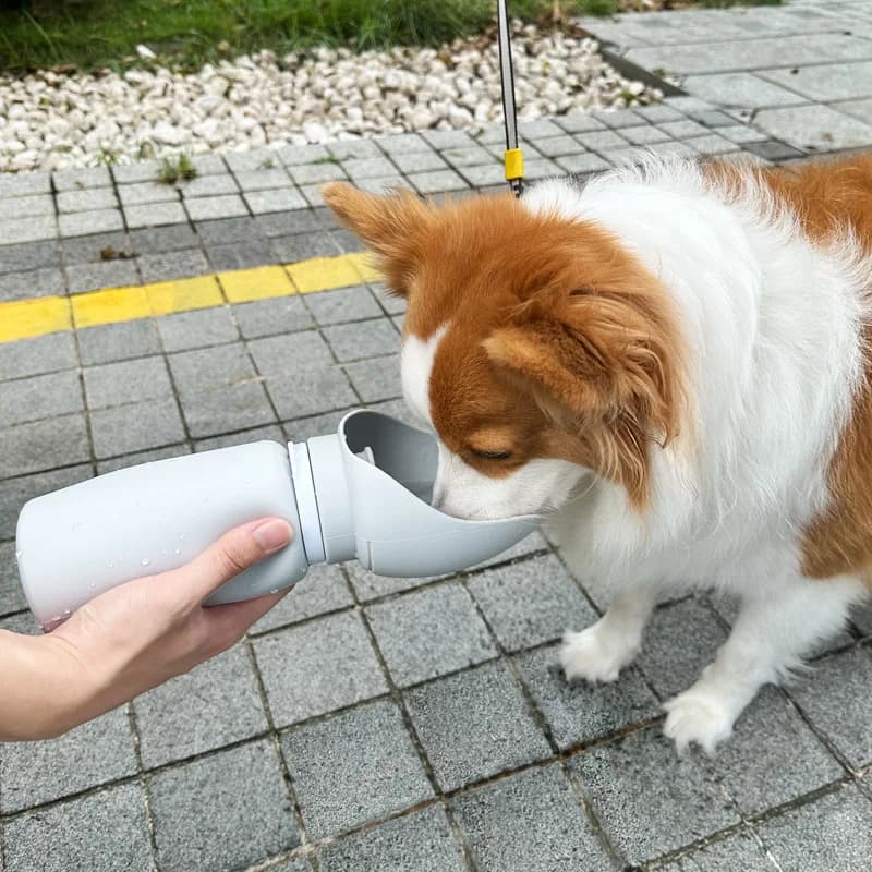 Bottiglia d'acqua portatile per cani da esterno Dispenser d'acqua per animali domestici Guinzaglio attaccato Tazza da passeggio per cani Viaggi Escursionismo Alimentazione Idratazione