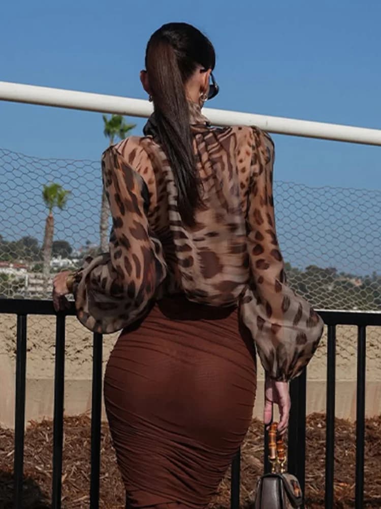 Camicetta Donna a Maniche Lunghe con Colletto a Sciarpa Trasparente, Stampa Leopardata in Chiffon, Moda Primavera 2026, Nuova Collezione Femminile High Street