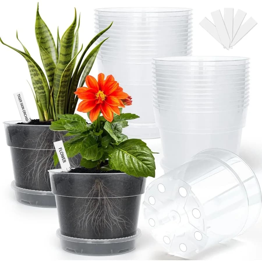Vases in Transparent Plastic for Plants, 6 Inches, with Draining Holes, Pots for Flowers with Subvases, Containers for Semina
