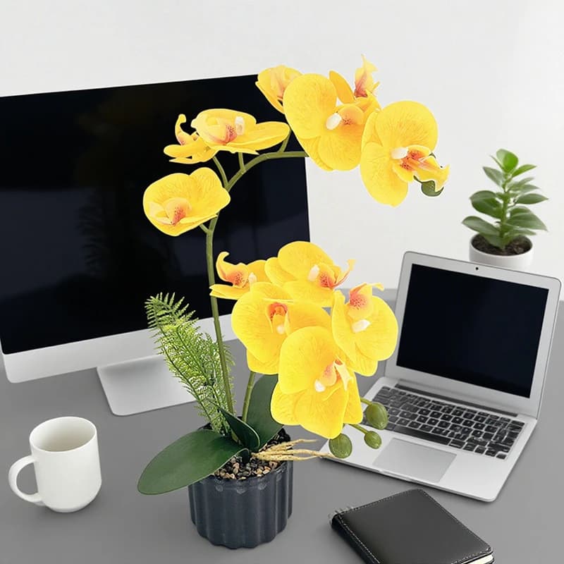 Artificial Phalaenopsis Orchid 12 Home and Office Decoration Flower Pot Plants, Indoor Desktop Decorations