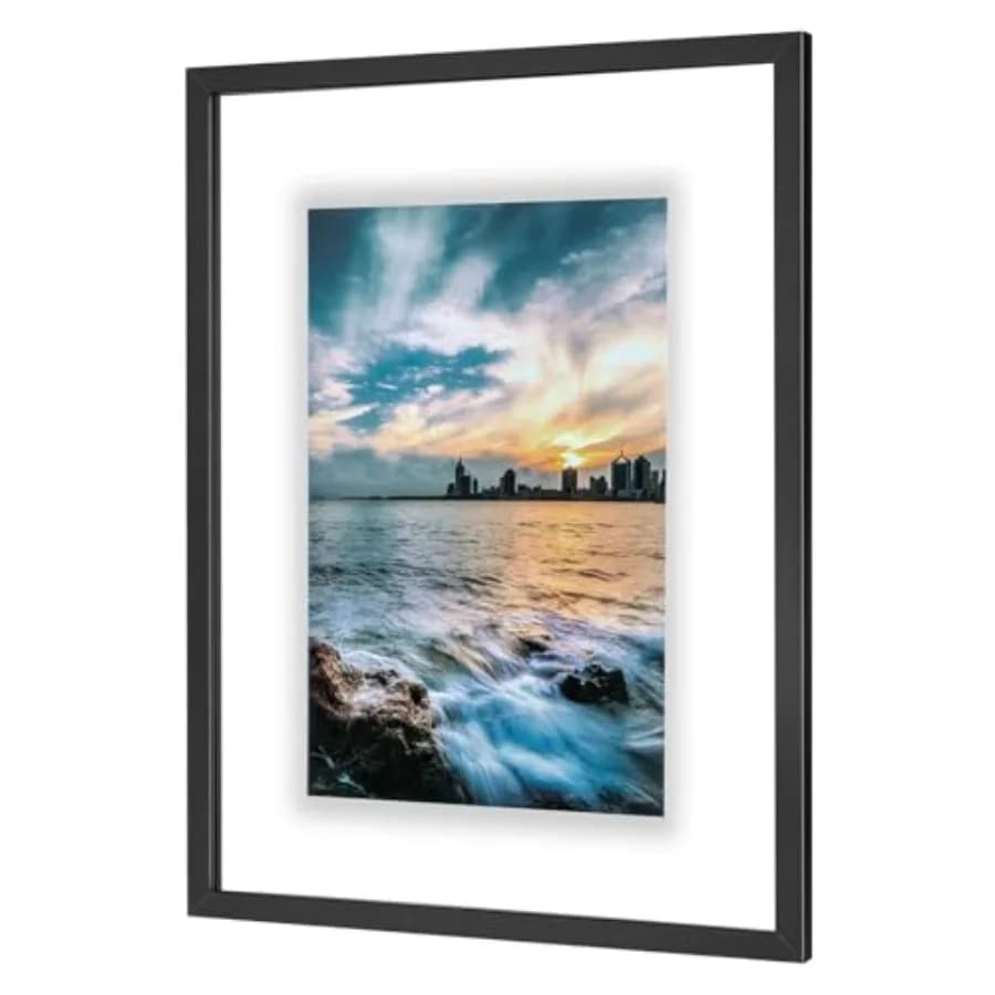 Cornice Flottante Nera in Legno con Doppio Vetro per Foto/11x17/12x18/13x19/ per Foto, Piante o Esemplari di Petali