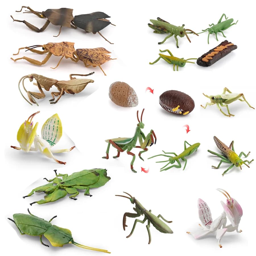 Modello Realistico di Mantis Orchidea, Mantis Foglia Morta, Insetto Gigante della Foglia, Grappino, Giocattolo Educativo, Decorazione per la Casa, Collezione, Regalo