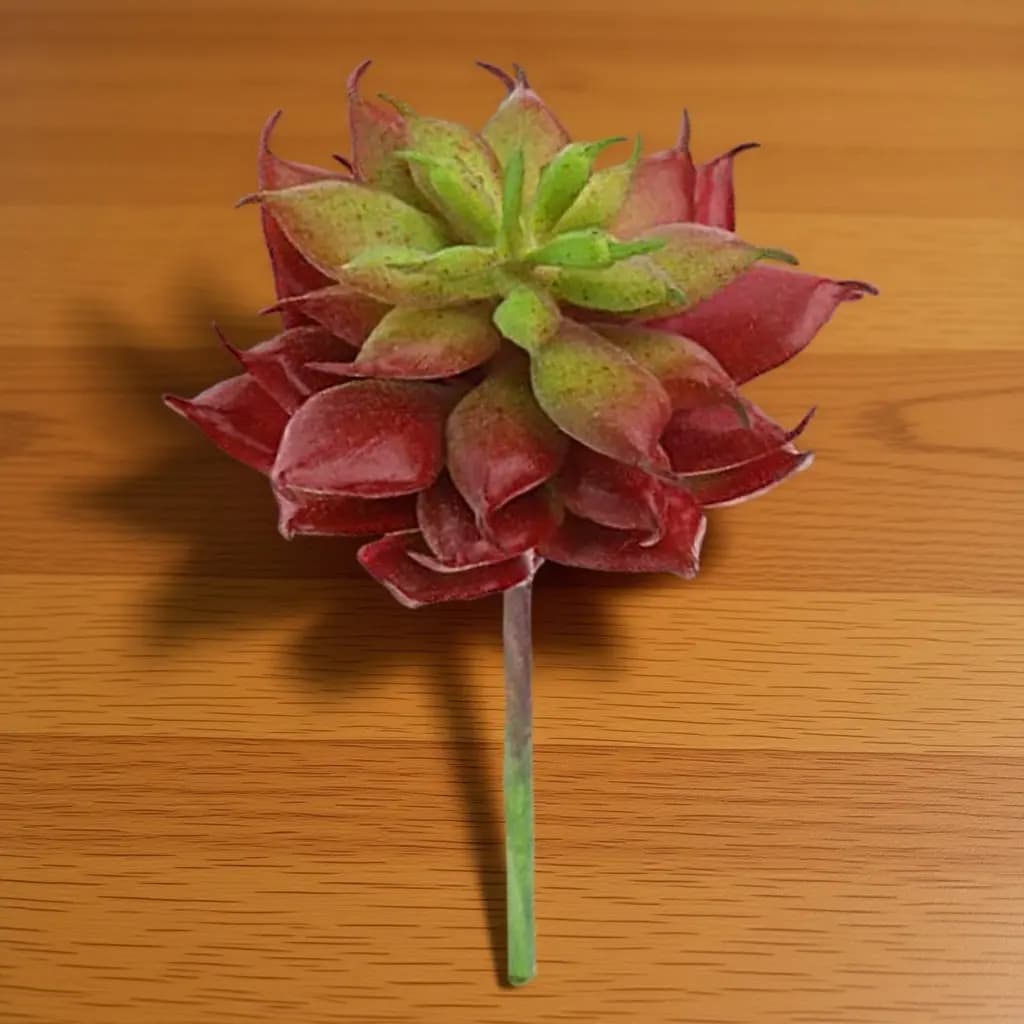 Realistic Artificial Succulent Plants, Small, Reddish Brown, Plastic, No Vase, Cactus Simulated for Home and Garden Decoration