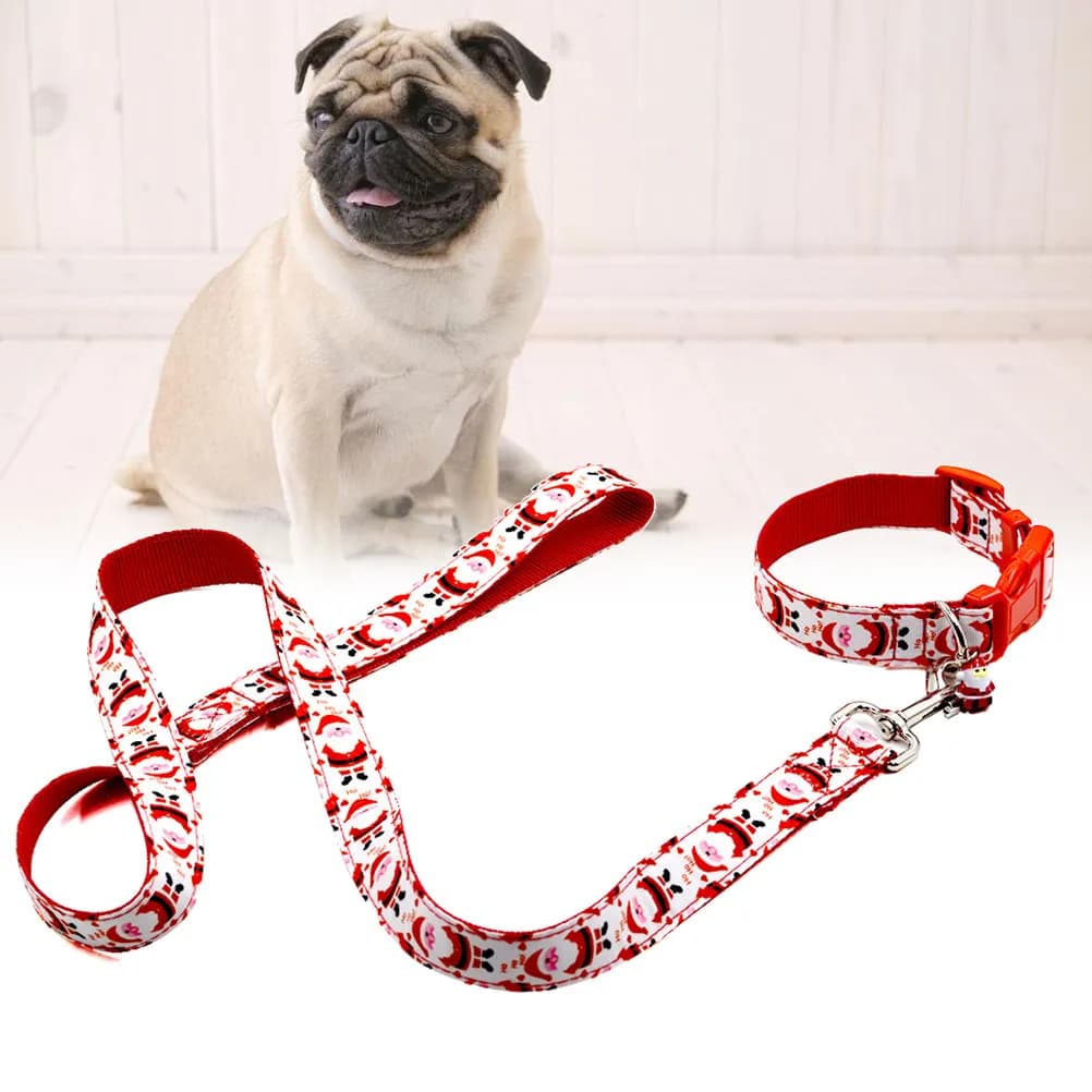 Drive for Cans in Polyester Resistant to wear, Long Corda and Robusta for Training of Medium and Large Dogs, for Strollers, Race and Training to Obedience